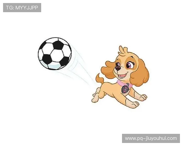 围绕狗狗彩色足球玩具的趣味互动陪伴新体验全方位快乐探索之旅 围绕狗狗彩色足球玩具的趣味互动陪伴新体验全方位快乐探索之旅